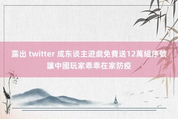 露出 twitter 成东谈主遊戲免費送12萬組序號　讓中國玩家乖乖在家防疫