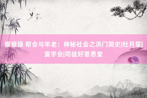 狠狠操 帮会与年老：神秘社会之洪门简史|杜月笙|寰宇会|司徒好意思堂