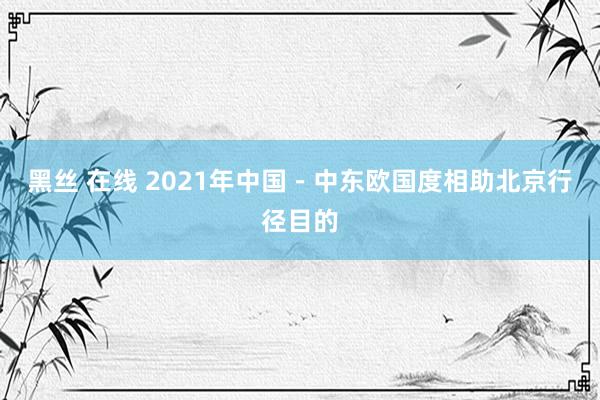 黑丝 在线 2021年中国－中东欧国度相助北京行径目的