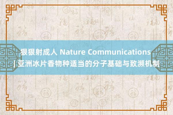 狠狠射成人 Nature Communications | 亚洲冰片香物种适当的分子基础与致濒机制