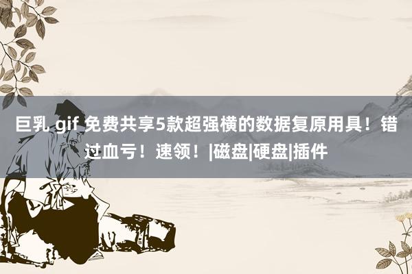 巨乳 gif 免费共享5款超强横的数据复原用具！错过血亏！速领！|磁盘|硬盘|插件