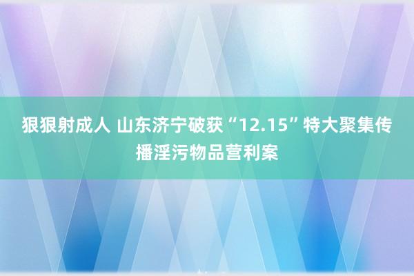 狠狠射成人 山东济宁破获“12.15”特大聚集传播淫污物品营利案