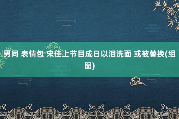 男同 表情包 宋佳上节目成日以泪洗面 或被替换(组图)