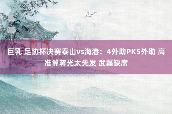 巨乳 足协杯决赛泰山vs海港：4外助PK5外助 高准翼蒋光太先发 武磊缺席